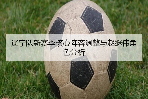 辽宁队新赛季核心阵容调整与赵继伟角色分析 - PG
